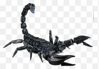 Realistic Scorpion Clipart - 3d Printed Articulated Spider Emoji,Scorpion Emoji