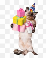 Partyitems Items Birthday - Karten Und Bilder Für Jeden Anlass By Corinna Emoji