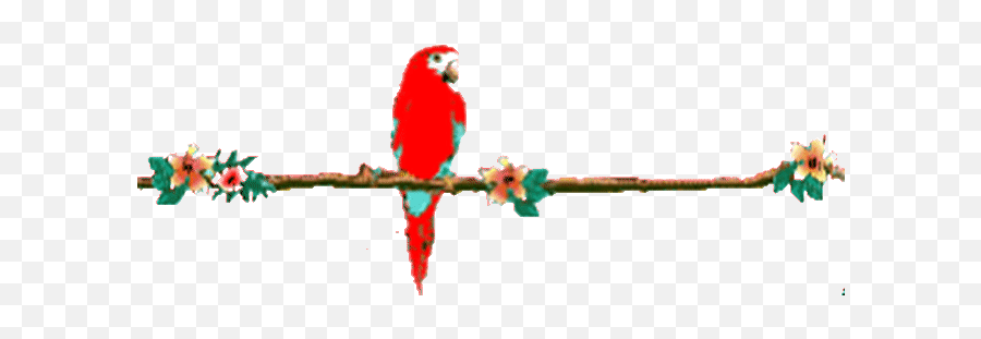 Top Dead Parrot Stickers For Android Ios - Parrots Animated Emoji,Parrot Emoji