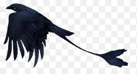 Bird Fantasy Scifi Raven Birds Black - Cool Black Birds Emoji,Raven Bird Emoji