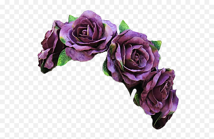 Purple Flower Crown Png Purple Flower Crown Png Transparent - Purple Flower Crown Png Emoji,Flower In Hair Emoji
