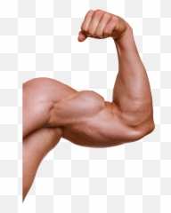 Muscle Arm Png - Emoji