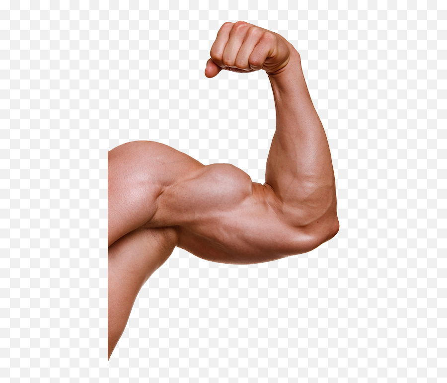 Muscle Arm Png - Muscle Arm Png Emoji,Strong Arm Emoji Png