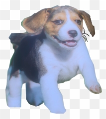 Dog Sticker Beagle - Collar Emoji