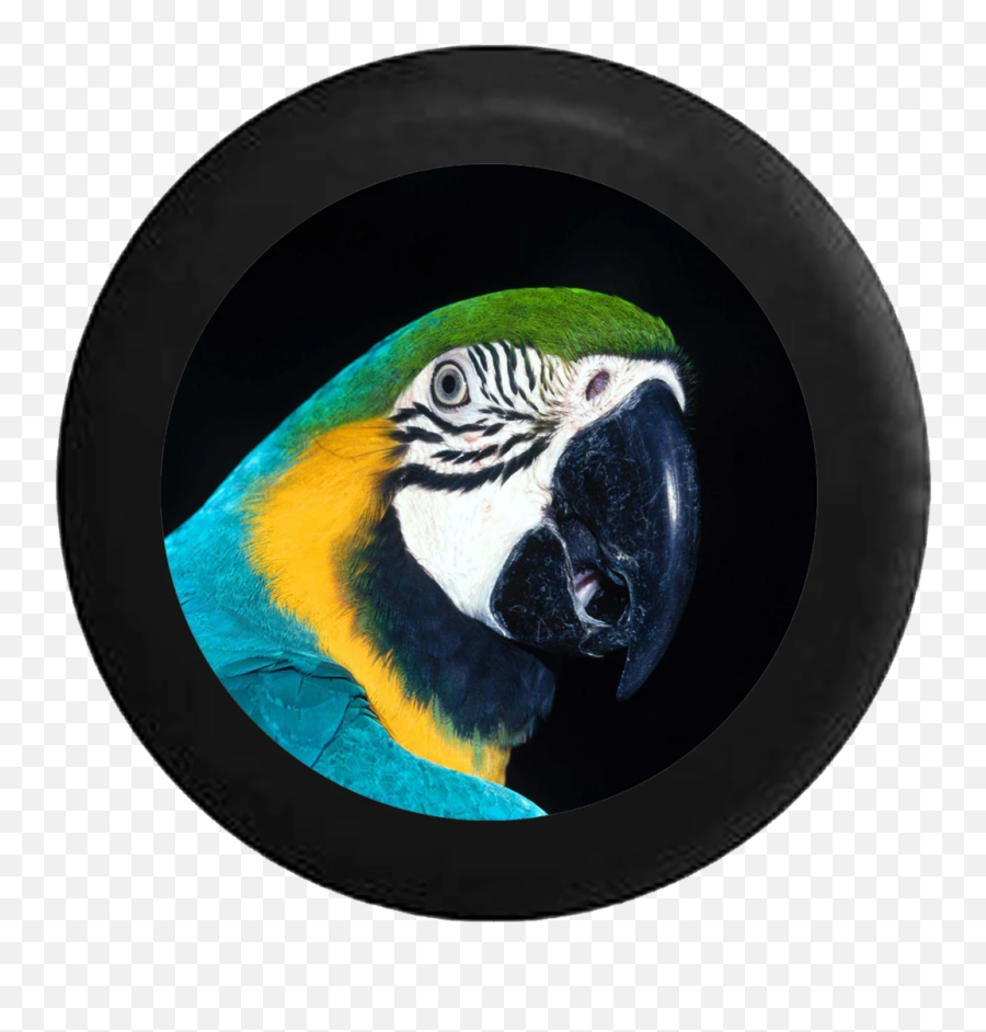 Standard Animal Tire Covers U2013 Page 4 U2013 Tirecoverpro - Parrots Emoji,Sunset Bird Emoji