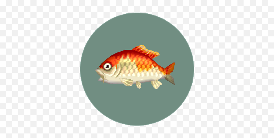 Animal Crossing Pocket Camp Rare Fish - Goldfish Emoji,Koi Fish Emoji