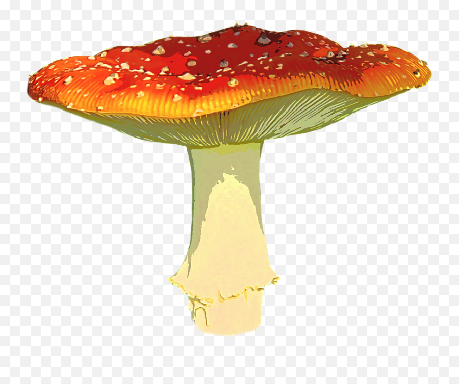Free Fall Foliage Autumn - Fly Agaric Png Emoji,Colours That Represent Emotions