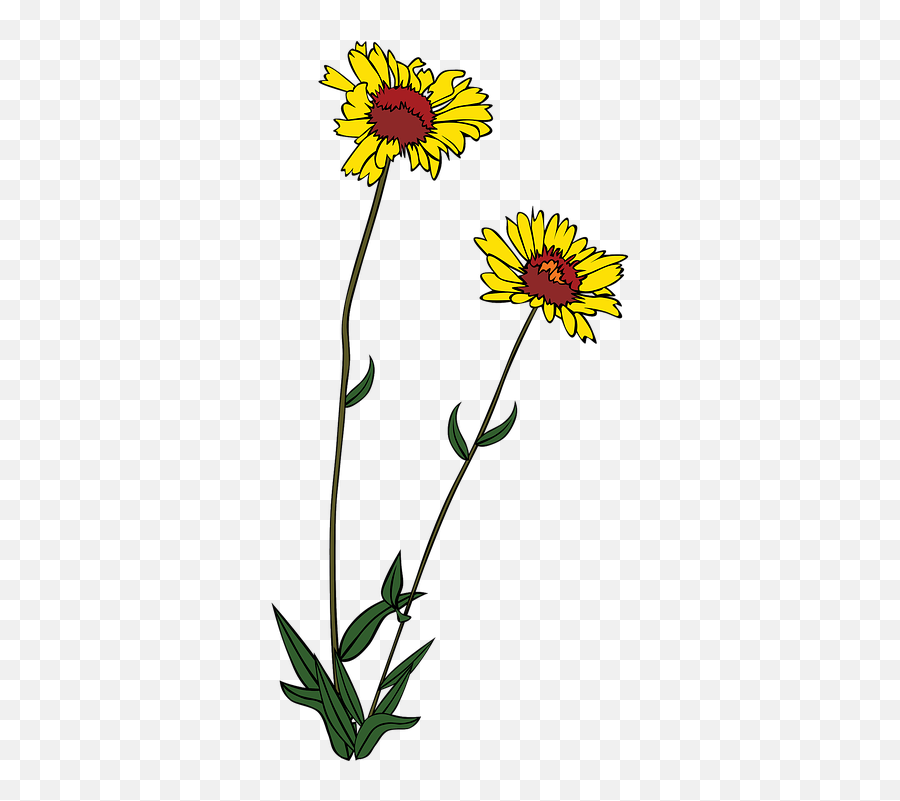 Free Sunflower Flower Illustrations - Transparent Wild Flower Clipart Emoji,Sunflower Emoji