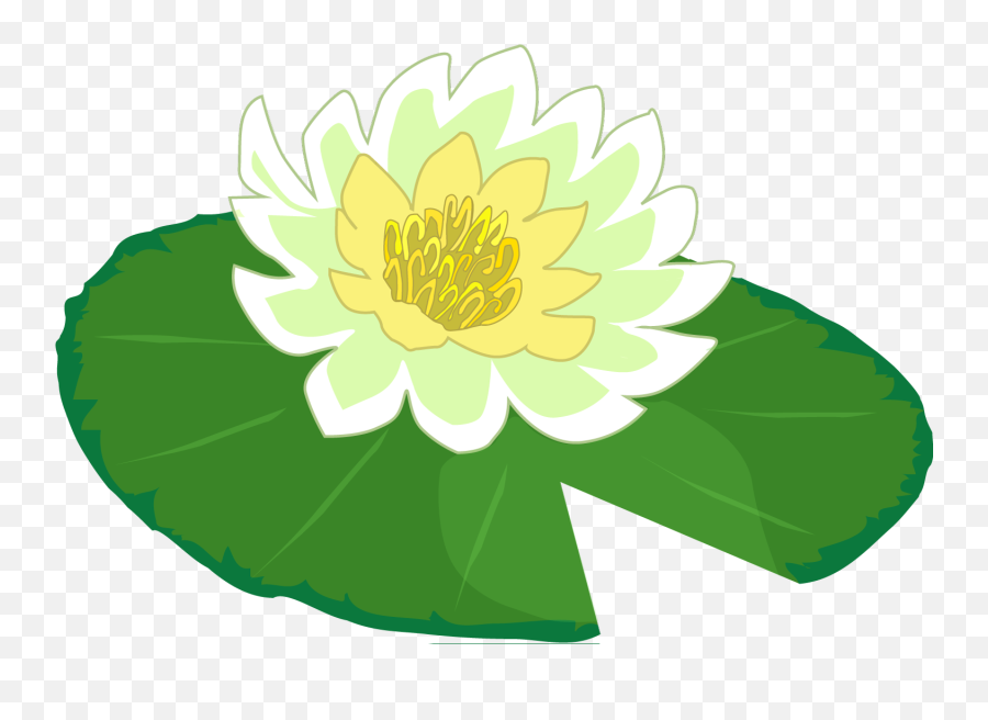 White Flower Water Lily Clipart The - Lily Pad Png Emoji,Lily Pad Emoji