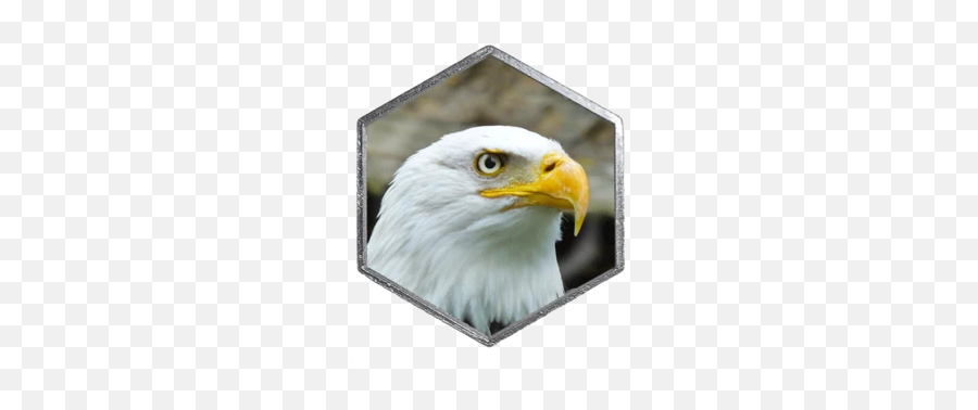 Eagle Face Hex - Bald Eagle Emoji,Eagle Emoji