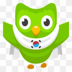 See Letu0027s Study Korean Together At Duolingo X - Phoenix Korean Duolingo Esperanto Emoji,Bird Emoticon