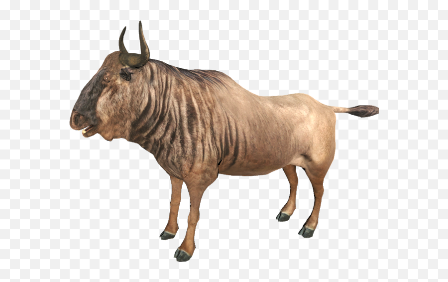 Dec 13 2017 Patch Alpha 204 Animallica - Radulescurobert Wildebeest Transparent Background Emoji,Goat Emoticons