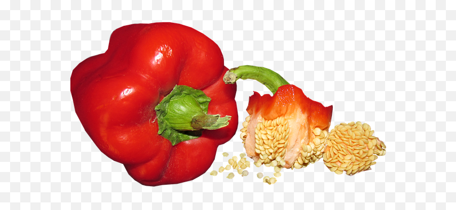 Popular And Trending Pepper Stickers On Picsart - Bell Pepper Seed Hd Emoji,Green Pepper Emoji