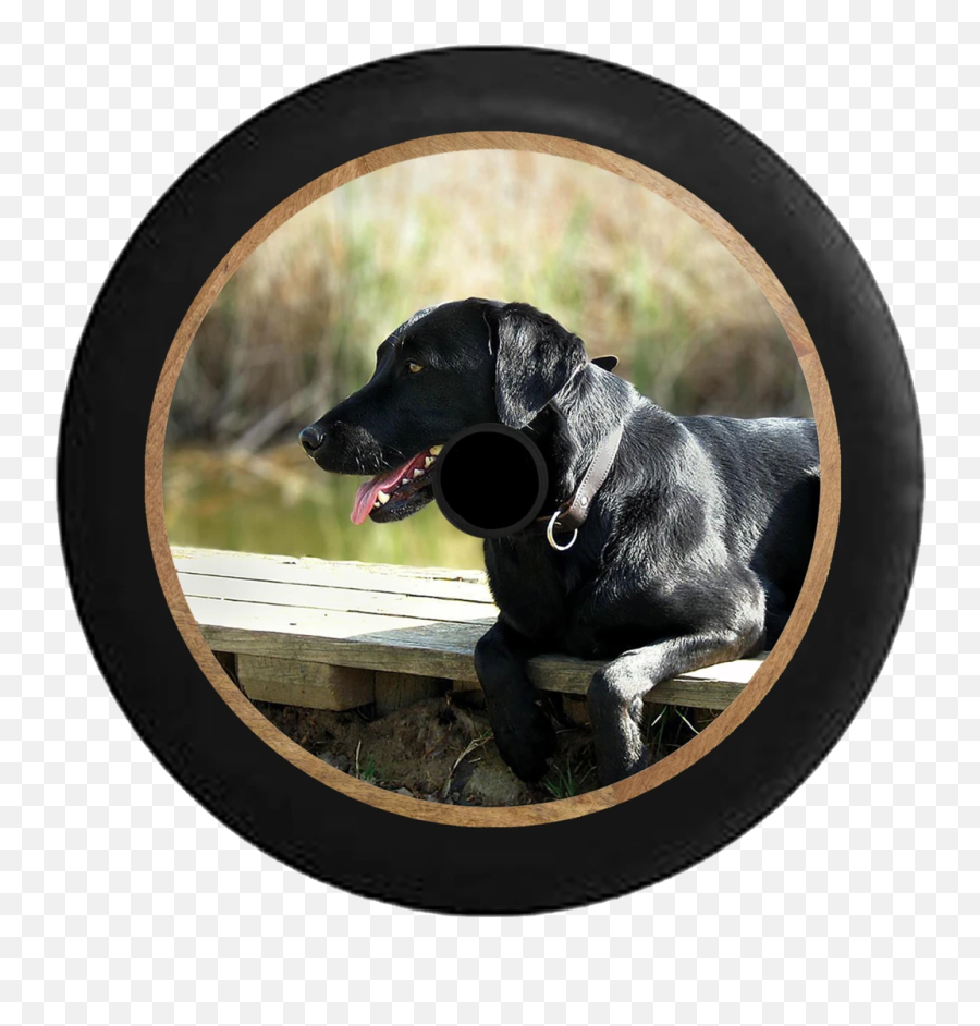 Jl Hole Animal Tire Covers U2013 Tirecoverpro - Labrador Retriever Emoji,Black Lab Emoji