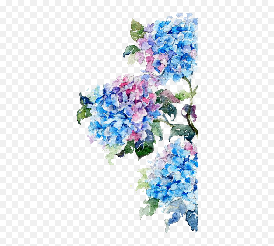 Watercolor Painting Flower Drawing - Flower Drawing For Watercolor Emoji,Blue Flower Emoji