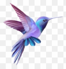 Hummingbird Colibri Bird Birb Birds Emoji,Birb Emoji