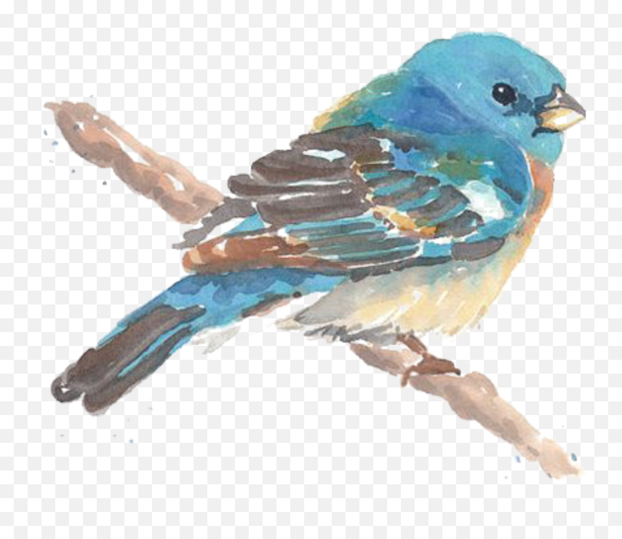 Ftestickers Watercolor Bird Bluebird - Birds Painting Watercolor Png Emoji,Bluebird Emoji