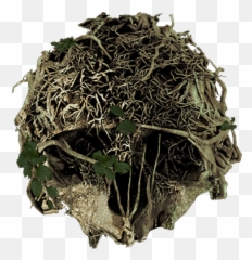 Theforest - Forest Game Icon Emoji,Herb Emoji