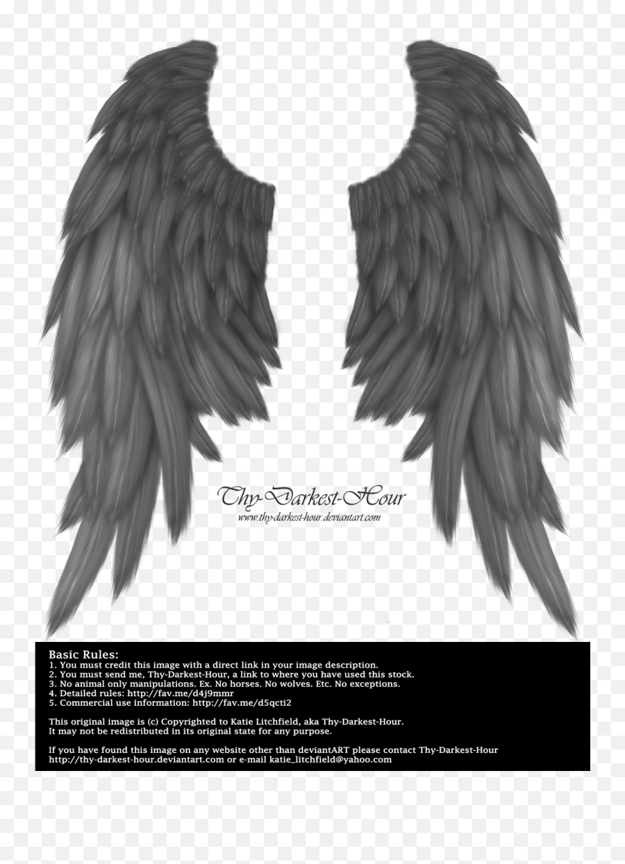 Daydream Wings - Angel Black Wings Png Emoji,Daydream Emoji - free ...