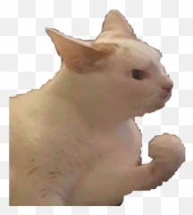 The Newest Fist Stickers - Squitten Emoji