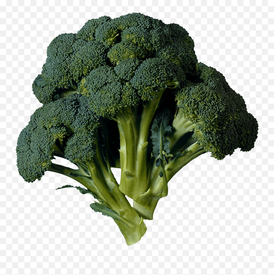 Dark Green Broccoli Transparent Png - Green Flower Vegetable Name Emoji,Cauliflower Emoji