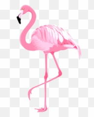 Clip Art Flamingo Png - Clip Art Flamingo Png Emoji,Flamingo Emoji