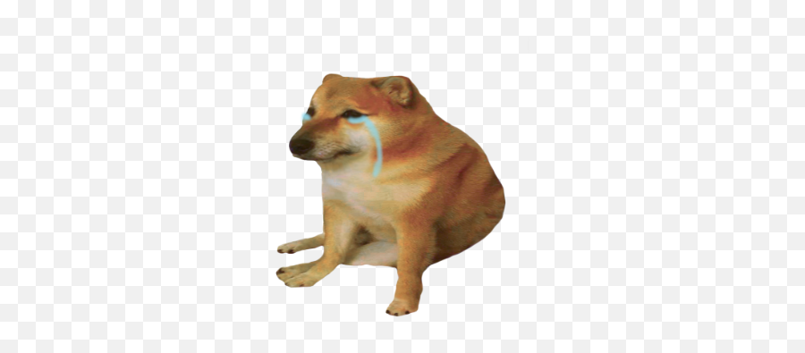 Sad Cheems Doge Meme Dogememe Sticker - Cheems Crying Meme Emoji,Doge Emoji