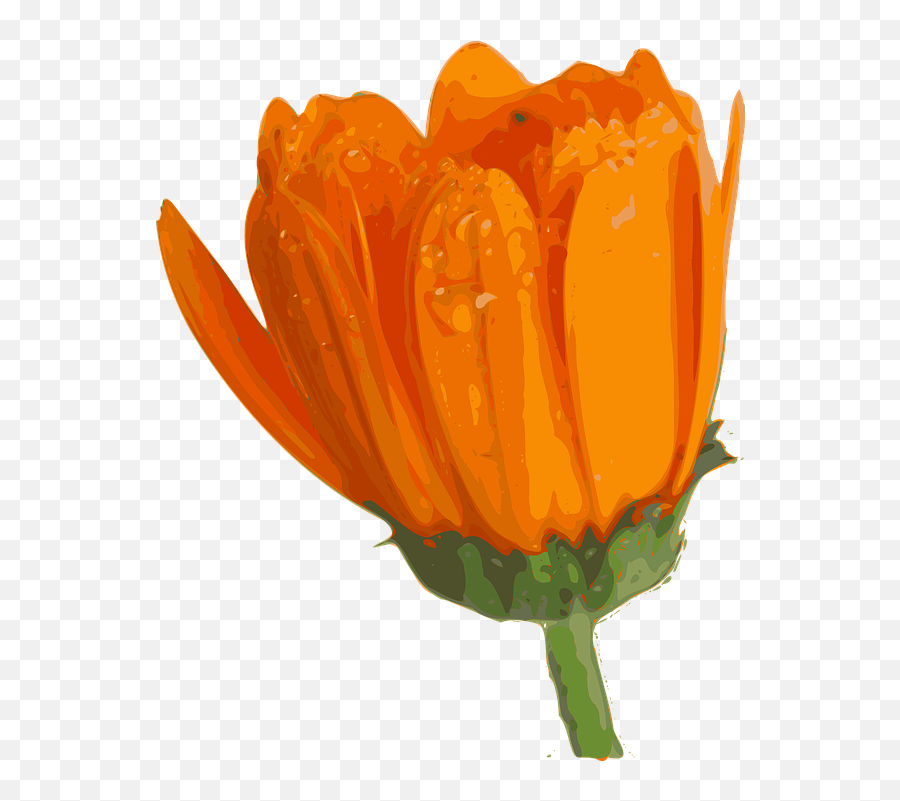 Free Orange Flowers Flower Vectors - Blooming Flower Gifs Animated Emoji,Sunflower Emoji