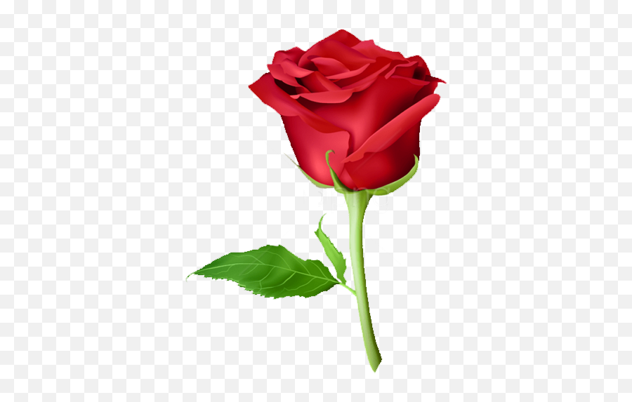 Wastickerapps And Roses - Red Gulab Ka Phool Emoji,Rose Emoji Png