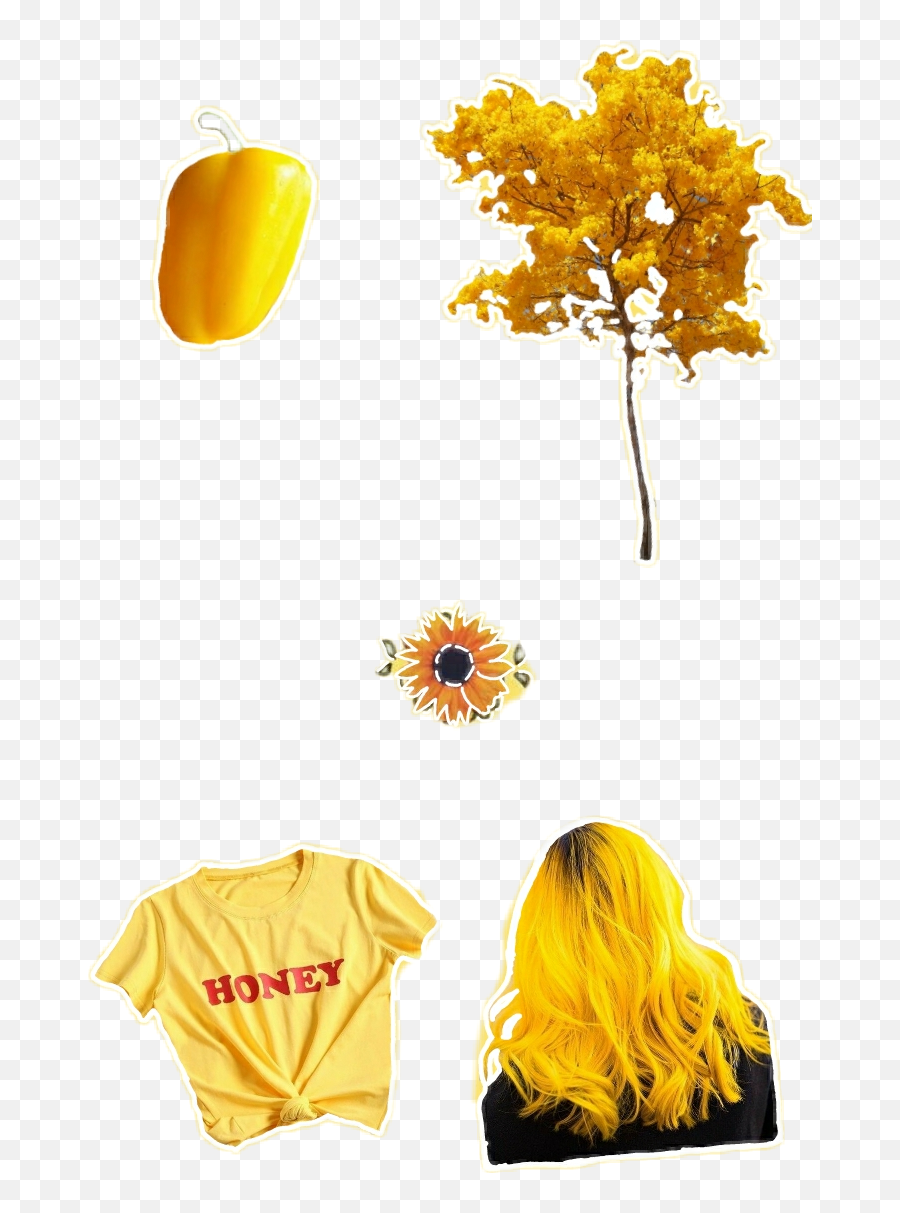 The Newest Yellowstarsstickerremix Stickers On Picsart - Sunflower Emoji,Flag Honey Plant Emoji