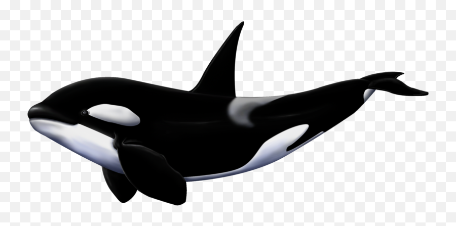 Orca Small Transparent Png Clipart - Great White Shark Orca Megalodon Emoji,Orca Emoji