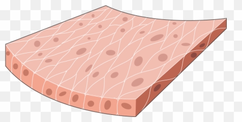 Muscle Clipart Smooth - Polka Dot Emoji