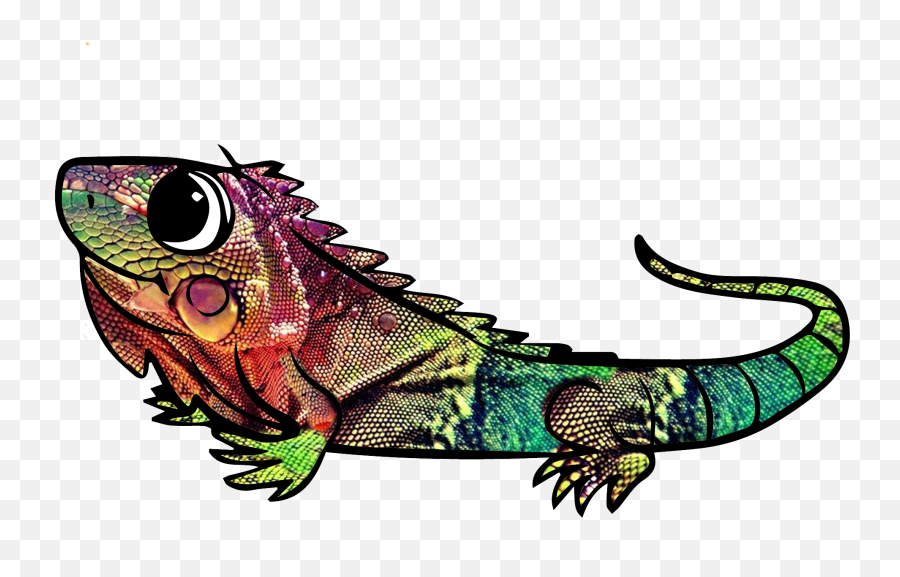 Amphibians Drawing Color Picture 2130882 Amphibians - Illustration Emoji,Salamander Emoji