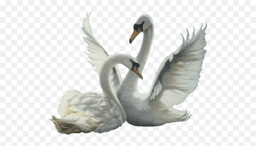 Edit - Je Te Fais Un Signe Emoji,Swan Emoji