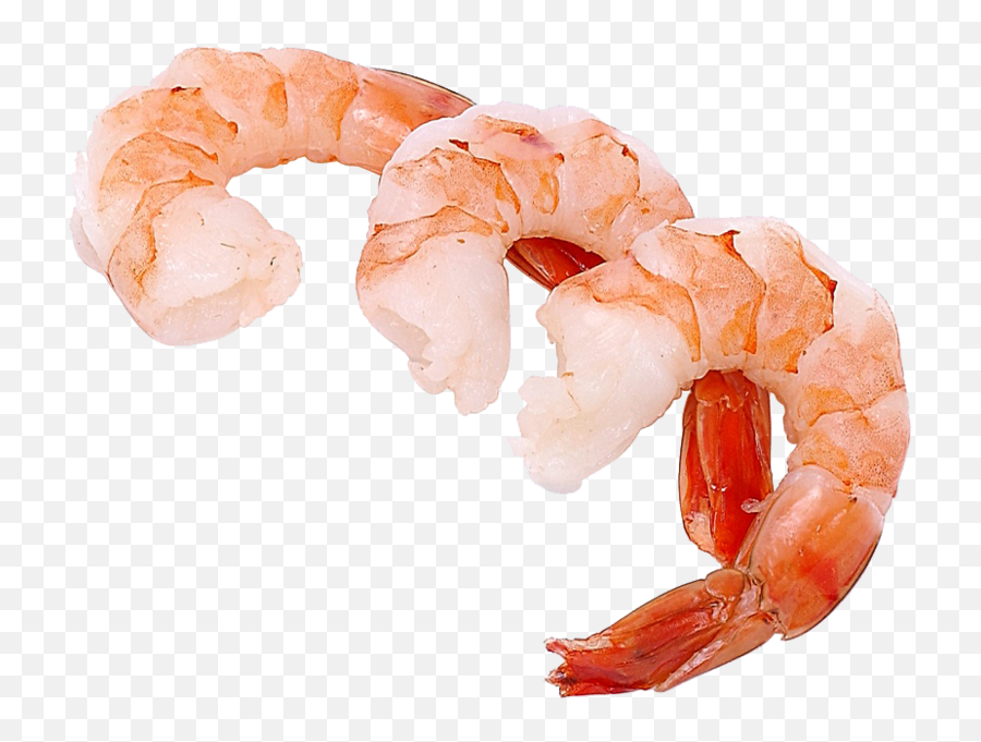 Shrimp - Cooked Shrimp Clipart Emoji,Shrimp Emoji