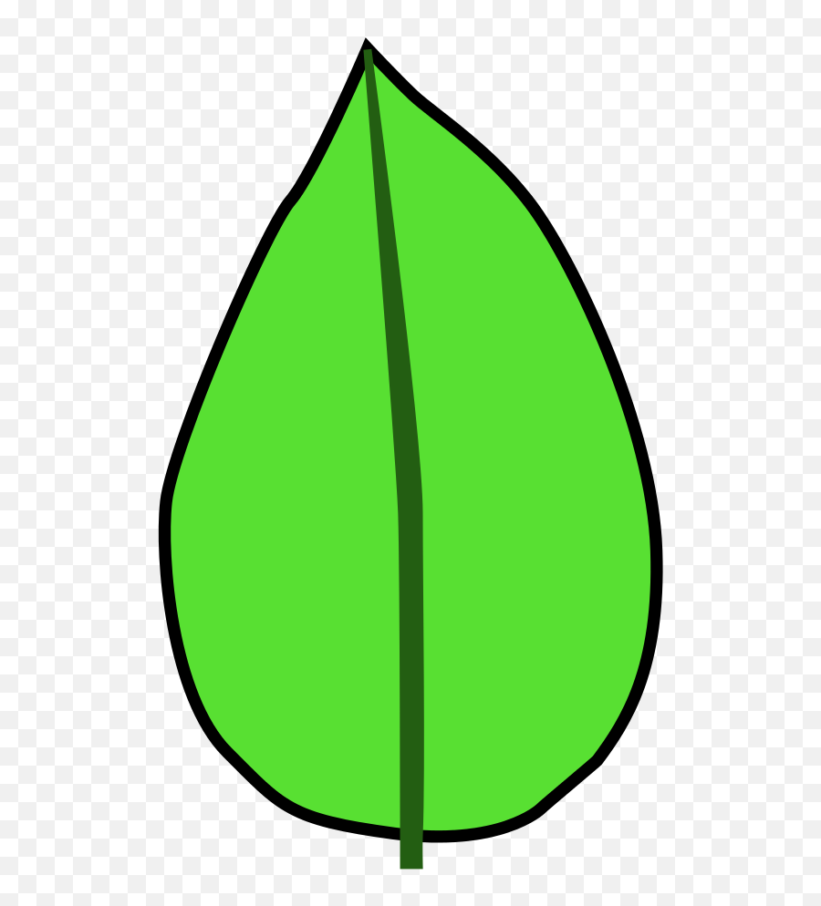 Leaf Morphology - Clip Art Emoji,Kermit The Frog Emoji