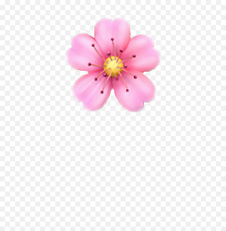 Flower Emoji Pink - Pink Flower Emoji Png,Emoji Flower