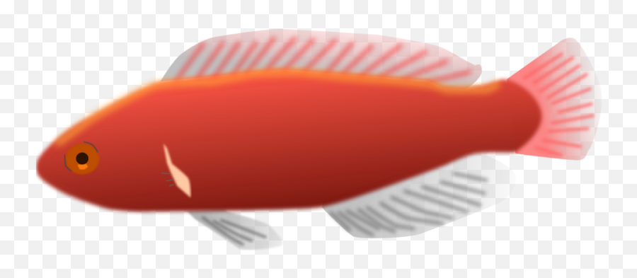 Fish - Long Fish Clip Art Emoji,Shark Emoji
