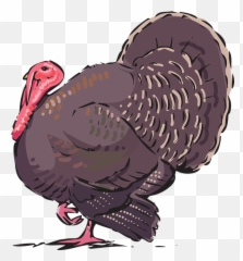 Turkey Animal - Clip Art Cartoon Emoji