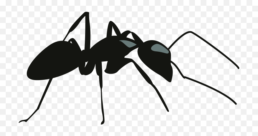 Buncee - Copy Of Alphabuncee Fire Ant Emoji,Ant Emoji