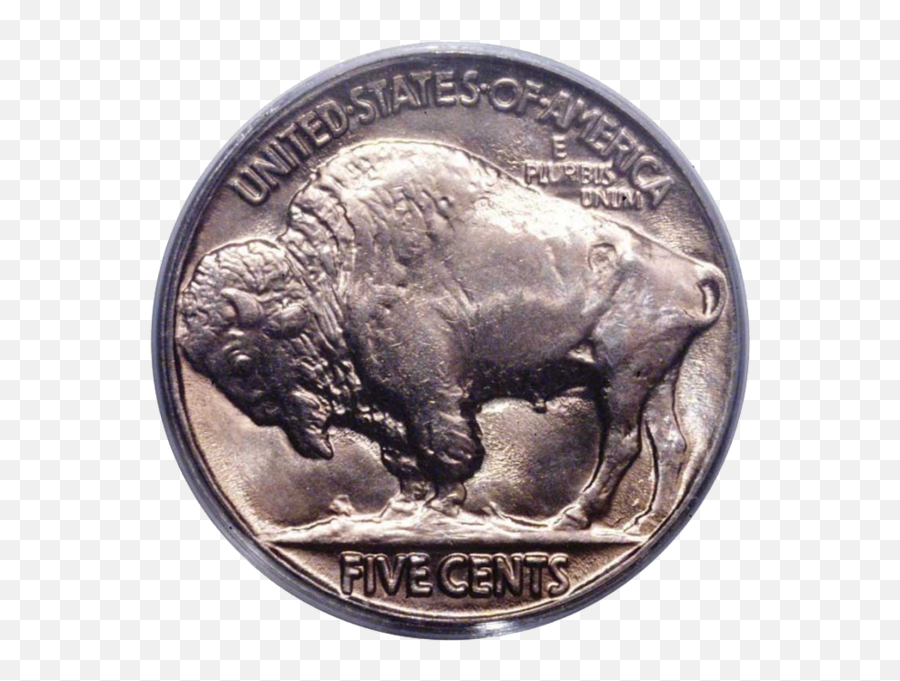 5 Cents - Buffalo Nickel Emoji,Cents Emoji