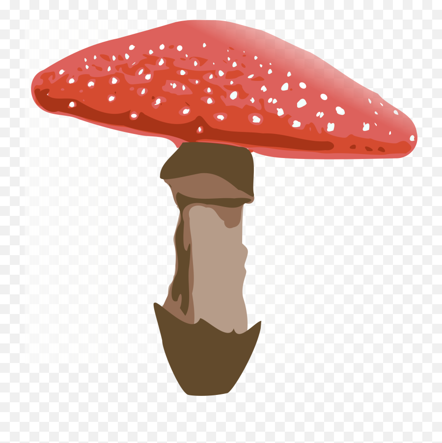 Clipart Transparent Background - Amanita Muscaria Png Emoji,Emoji Mushroom