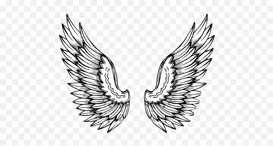 Angel Angelwings Angelwing Wingsofanangel Wings Wing - Angel Tattoo Designs On Hand Emoji,Angel Wing Emoji