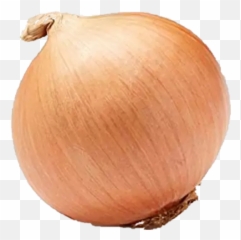 Popular And Trending Onion Stickers - Yellow Onion Emoji,Onion Emoji