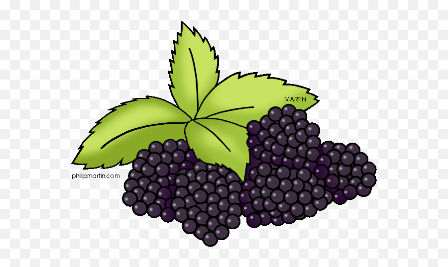 Free Free Blackberry Cliparts Download Free Clip Art Free - Clip Art Emoji,Blackberry Emoji