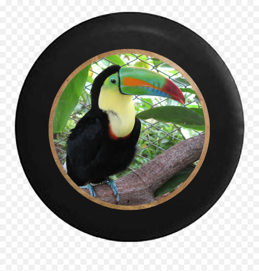 Products U2013 Page 151 U2013 Tirecoverpro - Zoo Animals Real Life Emoji,Toucan Emoji