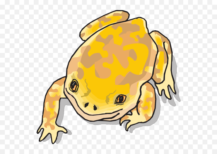 Yellow And Brown Frog Png Svg Clip Art For Web - Download Clip Art Emoji,Frog And Tea Emoji