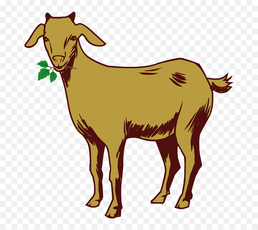 Goat Drawing - Goat Png Clipart Emoji,Goat Emoji Facebook