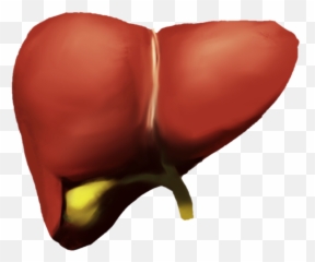 Proposal For Body - Part Emoji 202008 U2022 Jschoiorg Heart,Bone Emoji