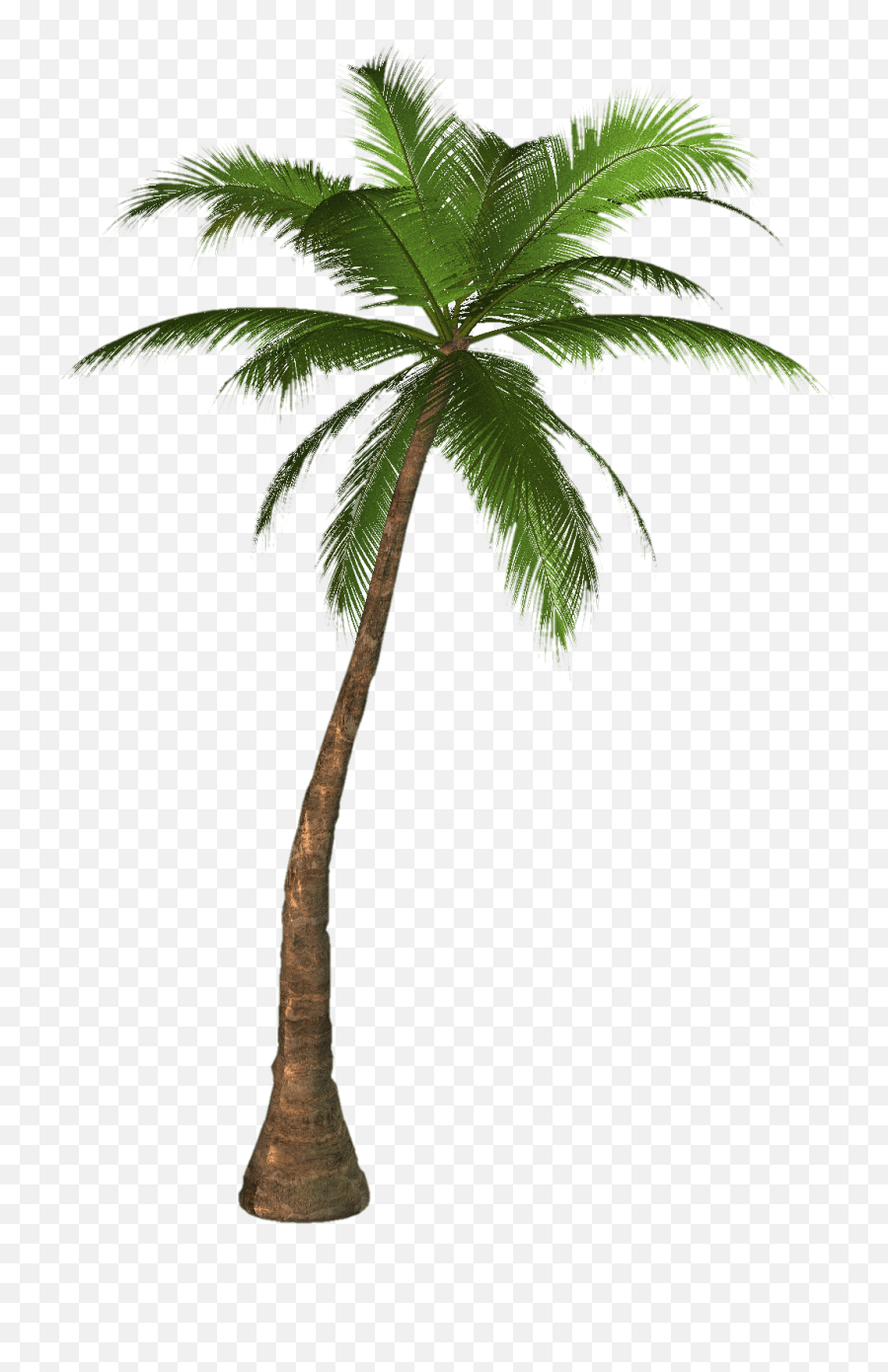 Download Palm Tree Png Hq Png Image - Palm Tree Png Emoji,Palm Tree Emoji Png